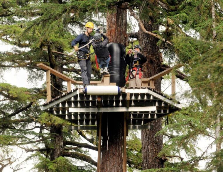 ketchikan-rainforest-canopy-zipline-adventure