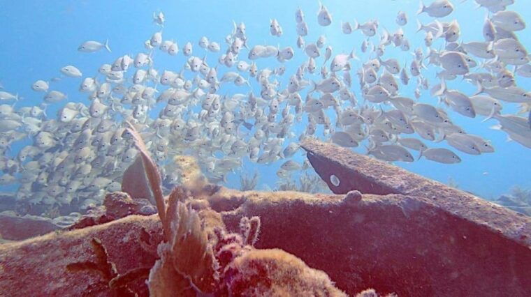 key-largo-spiegel-grove-wreck-deep-dive