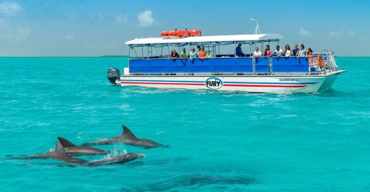 key-west-dolphin-watching-and-snorkeling-eco-cruise-tour