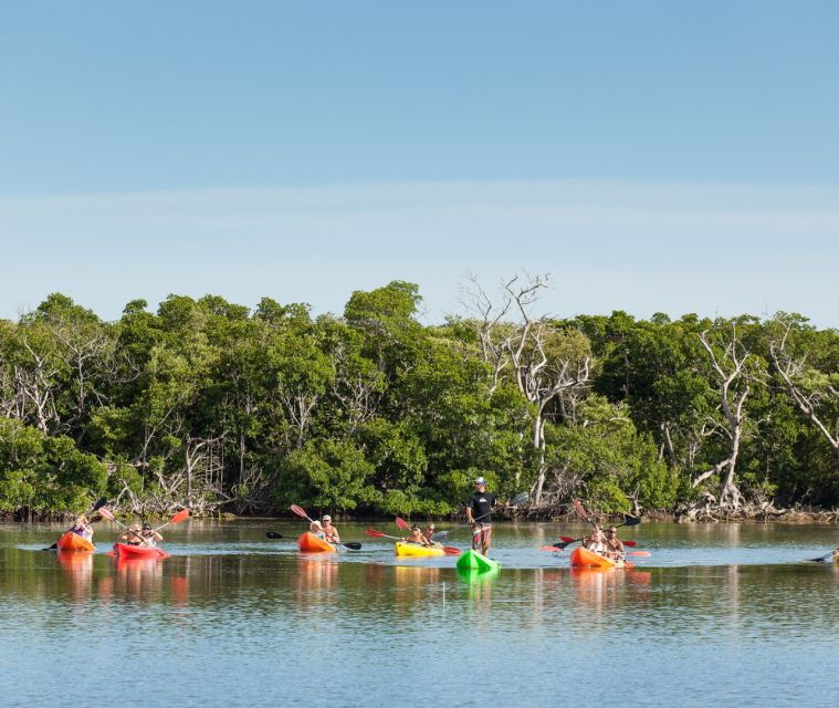key-west-morning-sail-snorkel-kayak-excursion