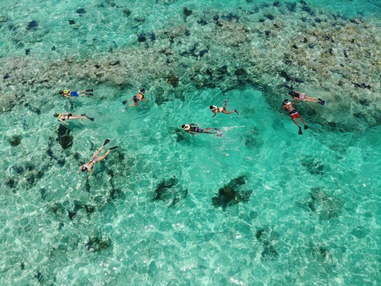 key-west-reef-snorkel-morning-tour-with-breakfast-mimosas