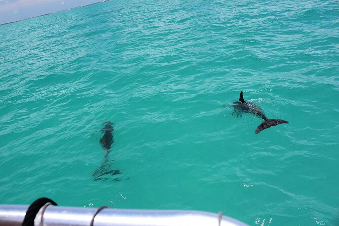 key-west-tours-from-miami-dolphin-discovery-snorkeling-more