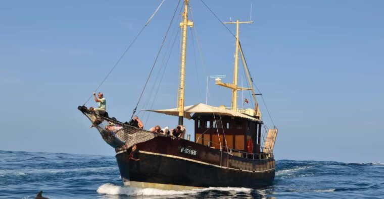 la-palma-bussard-premium-tour-marine-biology-nature
