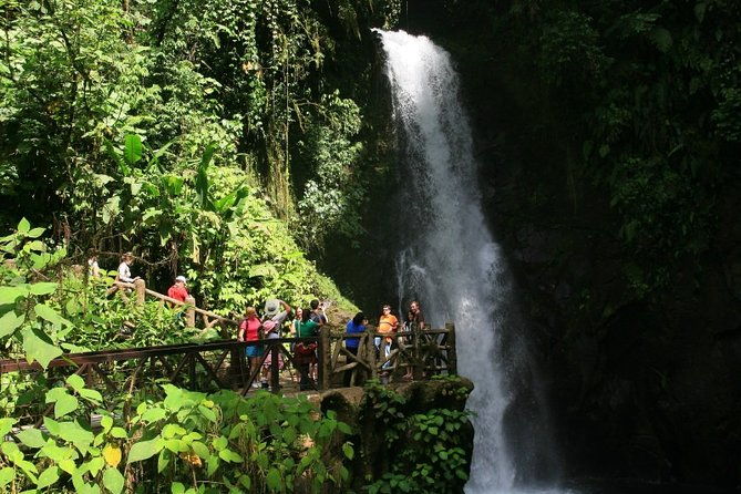 la-paz-waterfall-gardens-and-tabacon-hot-springs-private-day-tour-from-san-jose