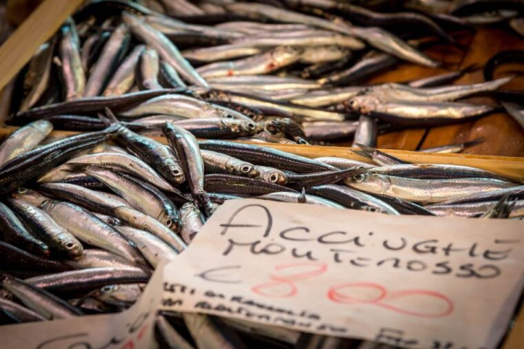 la-spezia-market-visit-and-seafood-cooking-class-with-lunch