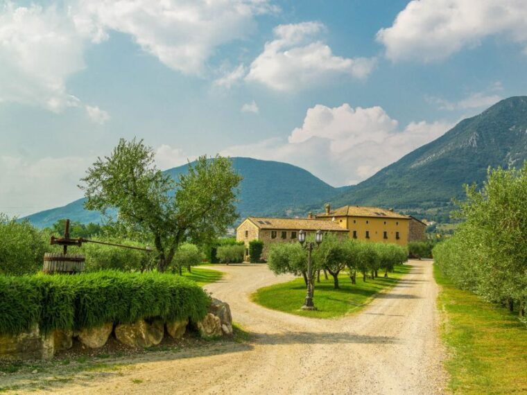 lake-garda-garda-hills-wine-tour-and-tasting