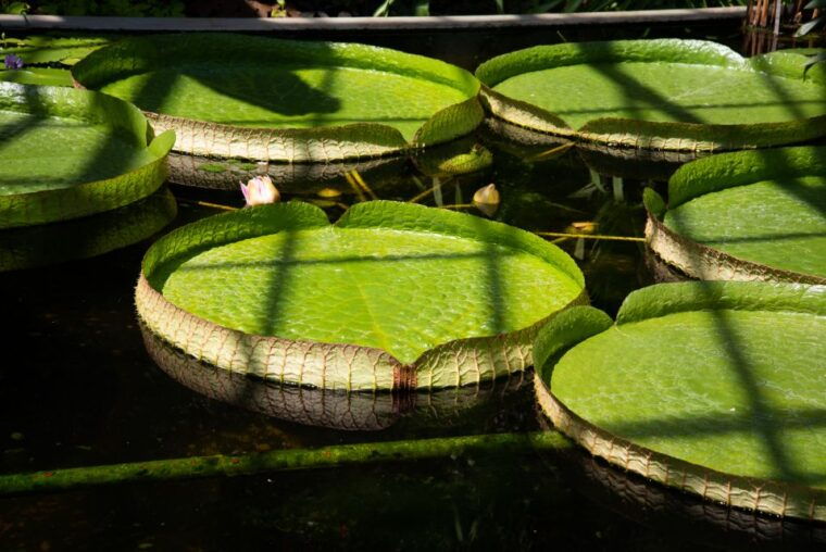 lake-maggiore-art-and-gardens