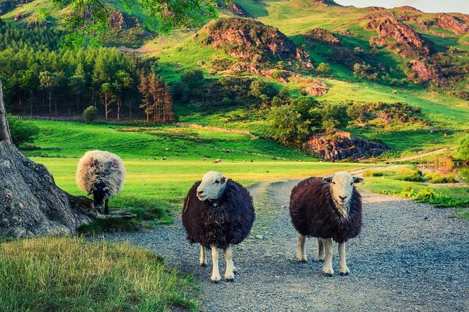 langdale-valley-half-day-up-to-4-people