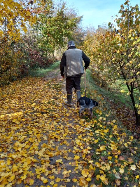 langhe-truffle-hunting-experience-2