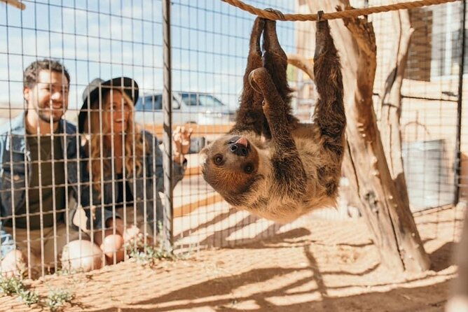 las-vegas-guided-utv-safari-and-zoo-tour