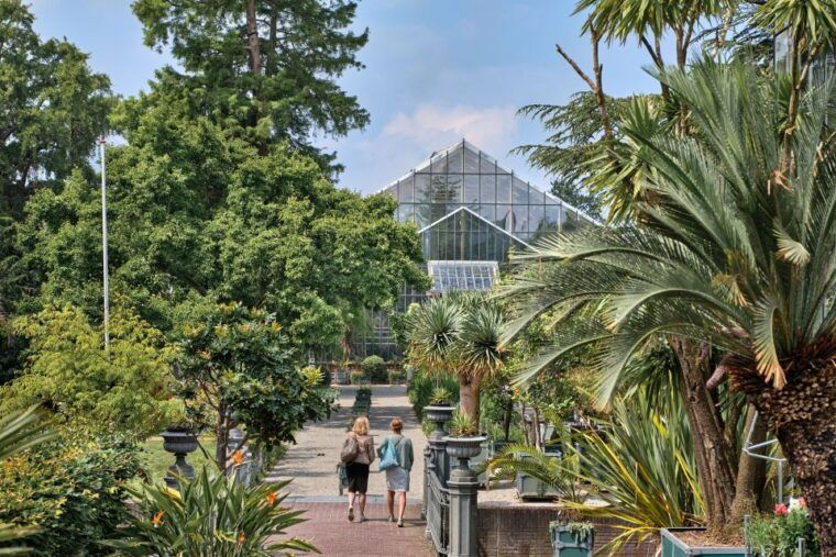 leiden-hortus-botanicus-entry-ticket