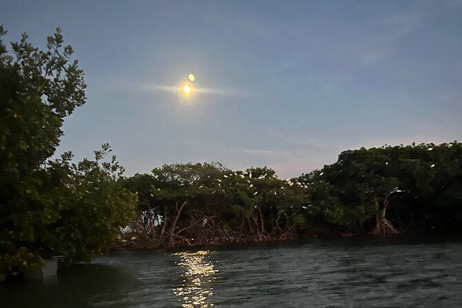 lets-paddle-jupiter-surrounding-areas
