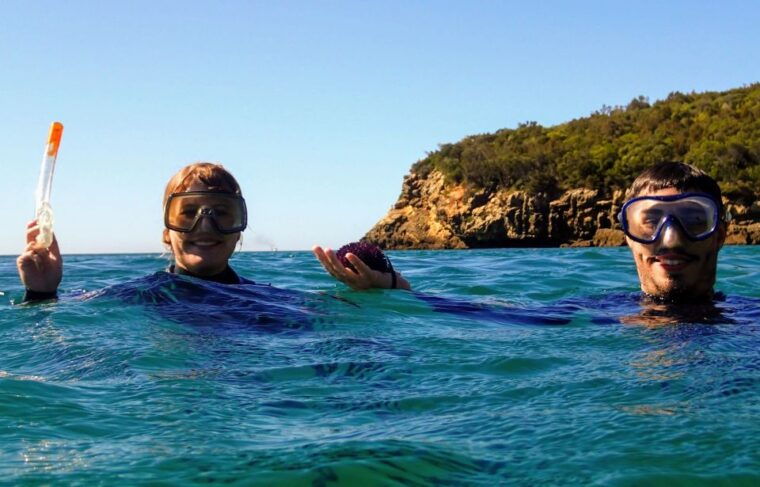 lisbon-arrabida-snorkeling-adventure