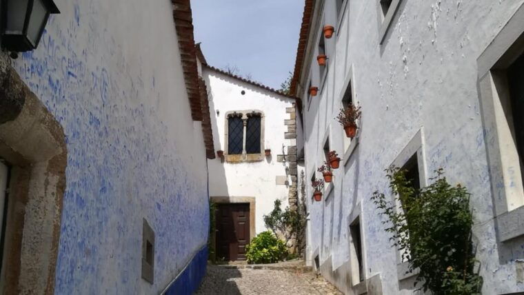 lisbon-one-way-to-porto-stops-in-obidos-nazare-and-aveiro