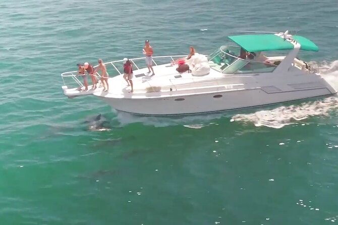 long-beach-2-hour-yacht-sea-life-trip-1-ticket-covers-1-6-ppl