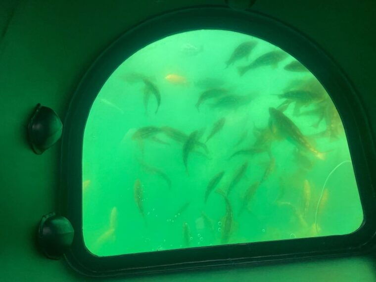 long-beach-glass-bottom-boat-harbor-ecotour