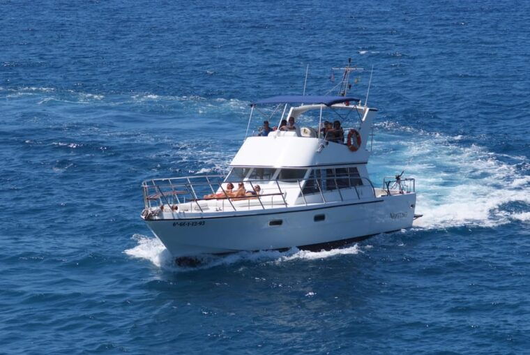 los-cristianos-whale-watching-tour-with-swimming-and-lunch-on-yacht-for-22-passengers