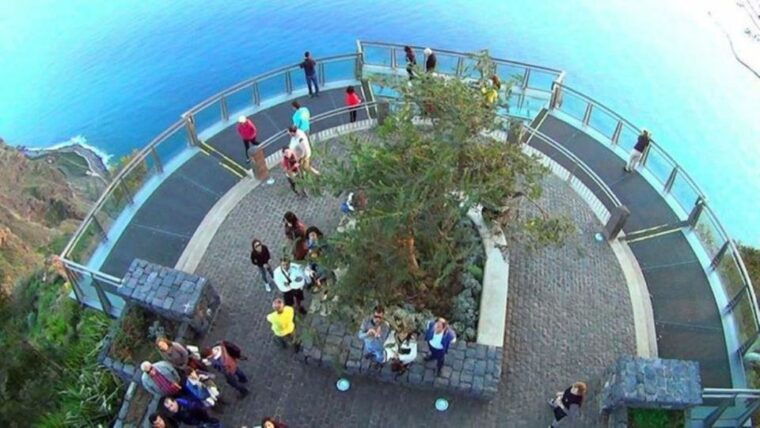 madeira-cabo-girao-wines-experience-and-dolphins-watching