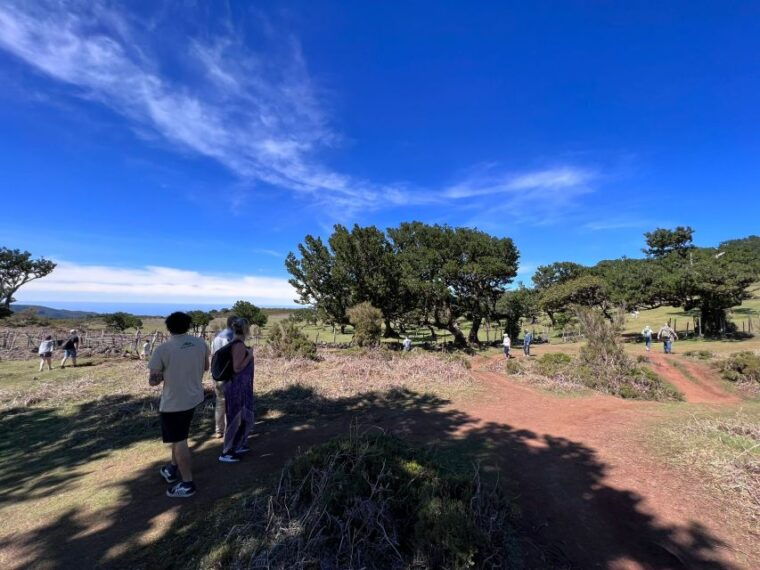 madeira-full-day-jeep-tour-with-guide-and-pickup