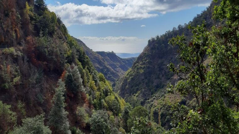 madeira-private-moinhos-levada-nova-walk-ponta-do-sol