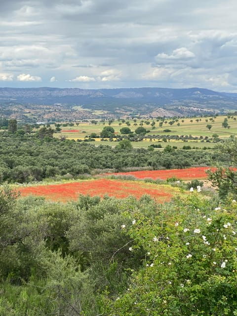 madrid-unspoiled-spain-for-foodies-nature-%e2%9d%a4%ef%b8%8fs