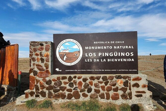 magdalena-island-penguin-boat-tour-and-marta-island