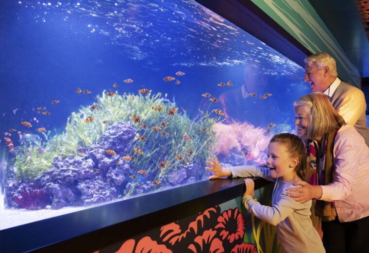 mall-of-america-sea-life-minnesota-aquarium-entry-ticket