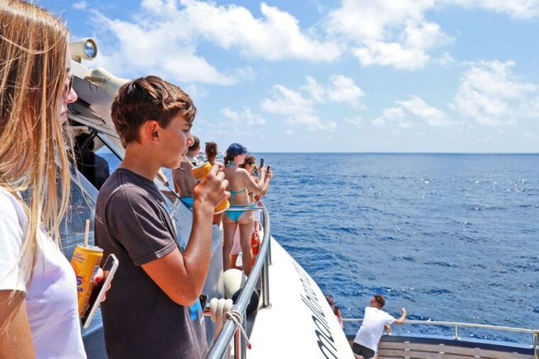 mallorca-2-hour-dolphin-watching-cruise-glass-bottom-boat