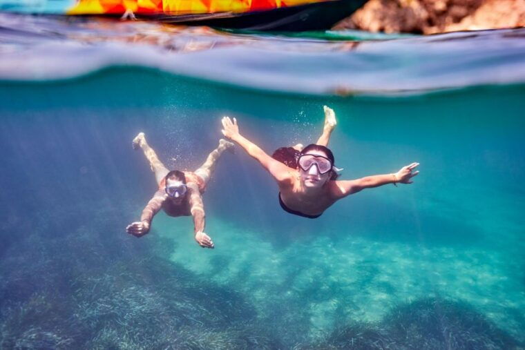 mallorca-3-hour-afternoon-dolphin-watching-boat-tour
