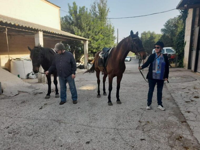 mallorca-activity-with-horses-antique-mallorca