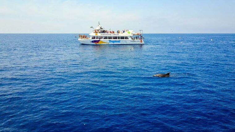 mallorca-dolphin-watching-cruise