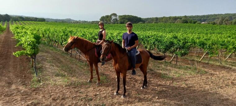 mallorca-mallorcan-sunset-horseback-riding-with-drinks