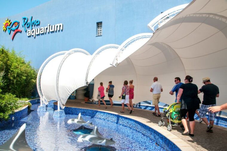 mallorca-palma-aquarium-tickets-with-transfer