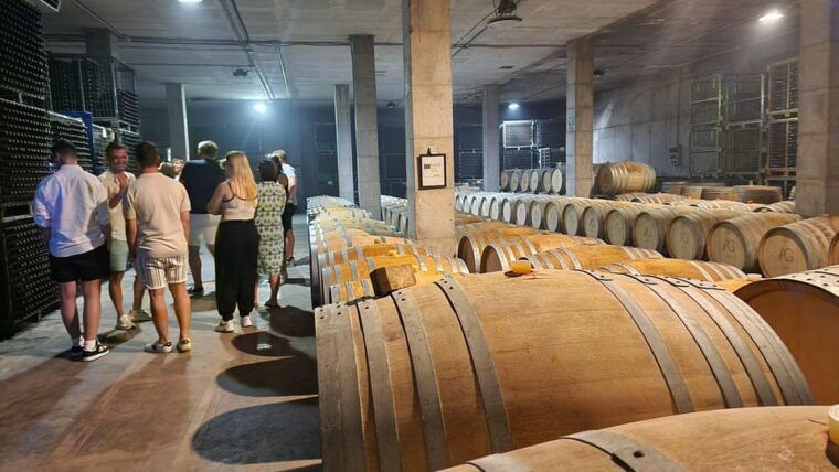 mallorca-wine-cellar-tour-xl-3-wine-tastings-including-german