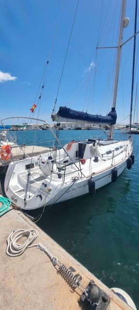 marbella-dolphin-watching-sailboat-trip-with-drinks-snacks