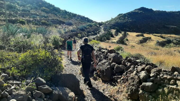 maspalomas-barranco-de-las-vacas-caves-farmhouse-tour