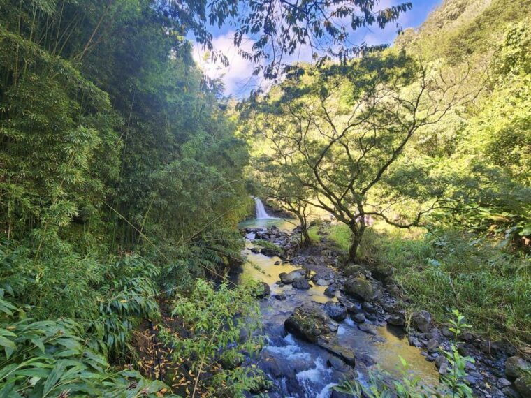 maui-private-all-inclusive-road-to-hana-tour-with-pickup