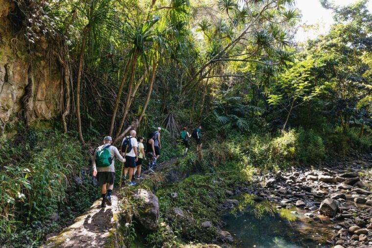 maui-rainforest-waterfalls-guided-hike-with-picnic-lunch