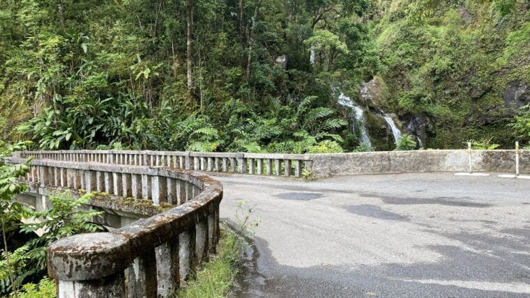 maui-road-to-hana-private-adventure-tour-with-luxury-suv