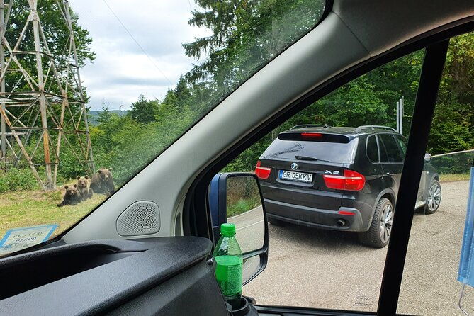 meet-wild-brown-bears-on-the-roads-to-real-draculas-fortress