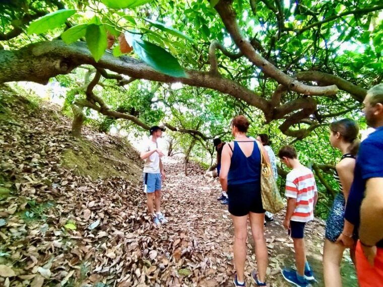 menton-citrus-farm-old-town-botanic-boat-full-day-tour