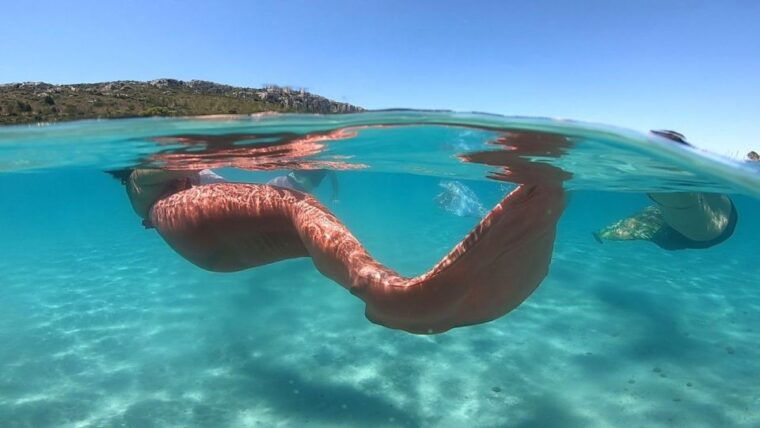 mermaid-experience