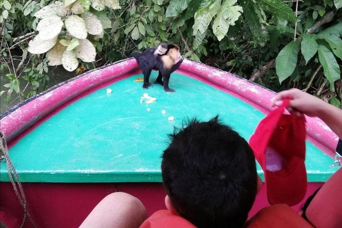 monkey-island-gatun-lake-adventure