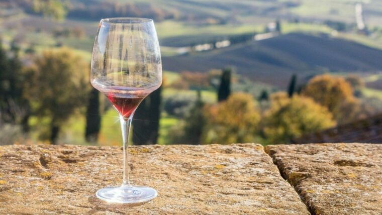 montalcino-brunello-wine-tasting-lunch-in-a-tuscan-castle