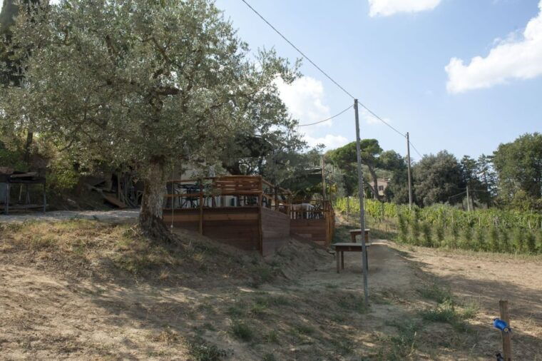 montepulciano-cinta-senese-tour-with-food-tasting