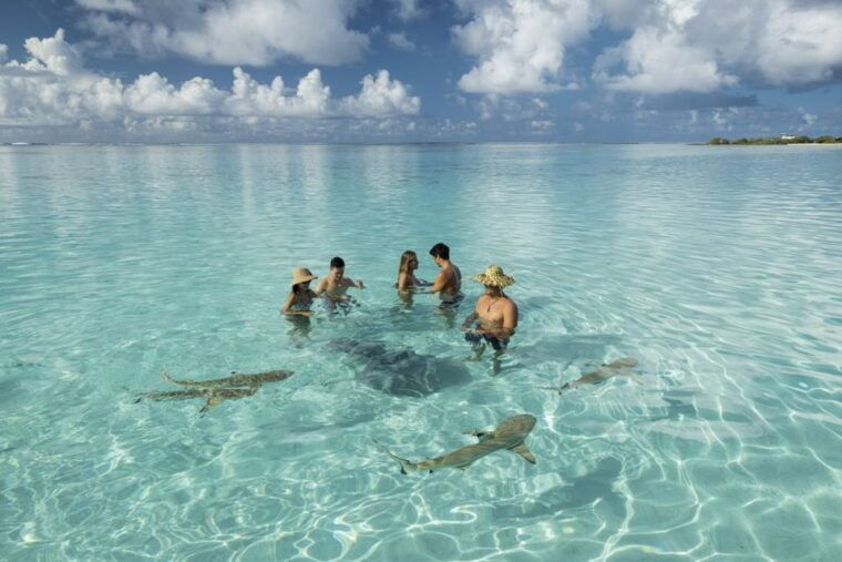 moorea-highligts-blue-laggon-shore-attractions-and-lookouts