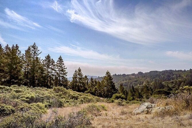 muir-woods-self-guided-driving-and-walking-audio-tour