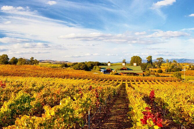 muir-woods-with-napa-sonoma-wine-tour-alcatraz-aquarium-access