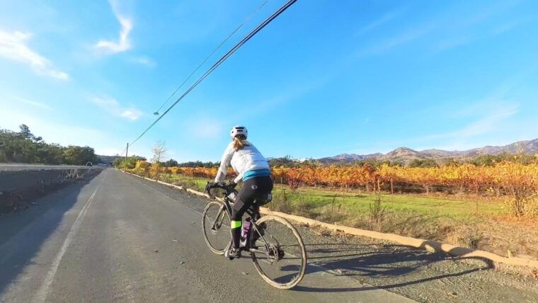 napa-sonoma-guided-tour-for-cycling-enthusiasts