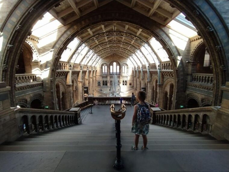 natural-museum-butterflies-gems-dinosaurs-explored